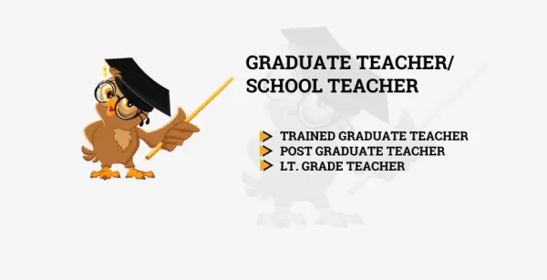 Graduate teacher/school teacher course